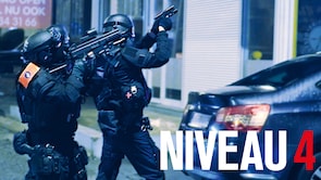 Niveau 4